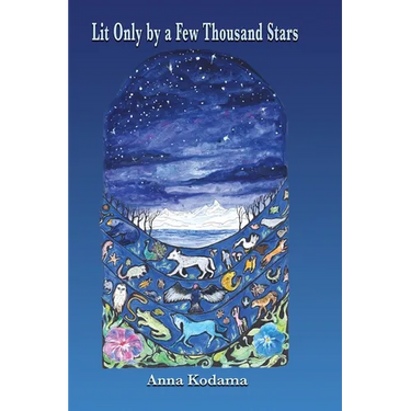 Lit Only by a Few Thousand Stars