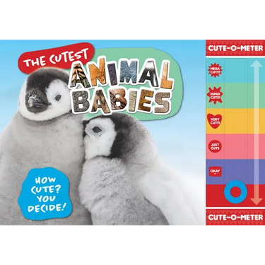 The Cutest Animal Babies: How Cute? You Decide!