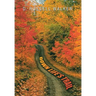 Down Life's Trail