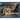 Orphaned: The Mountain Lion Cubs of Portola Valley: A Rescue Story of Hope and Survival