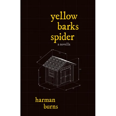 Yellow Barks Spider