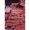 Ancient Maya Economies