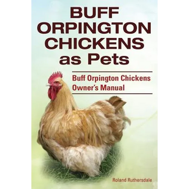 Buff Orpington Chickens as Pets. Buff Orpington Chickens Owner's Manual.