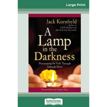 A Lamp in the Darkness: Illuminating the Path Through Difficult Times (16pt Large Print Edition)
