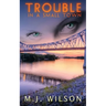 Trouble in a Small Town