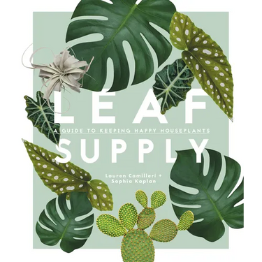 Leaf Supply: A Guide to Keeping Happy House Plants