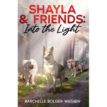 Shayla & Friends: Into the Light