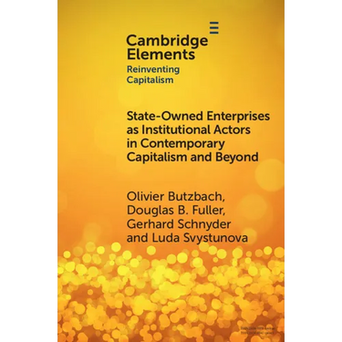State-Owned Enterprises as Institutional Actors in Contemporary Capitalism and Beyond