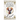 Divinos Academy: Lost: Book 1