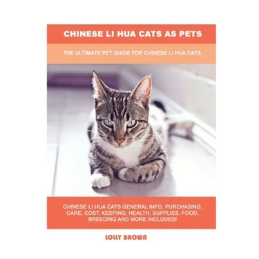 Chinese Li Hua Cats as Pets: The Ultimate Pet Guide for Chinese Li Hua Cats