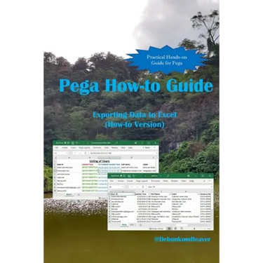Pega How-to Guide: Exporting Data to Excel (How-to Version)