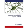 Traumatic Brachial Plexus Injuries in Adults