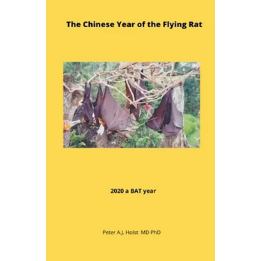 The Chinese Year of the Flying Rat