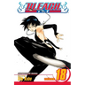 Bleach, Vol. 18: The Deathberry Returns
