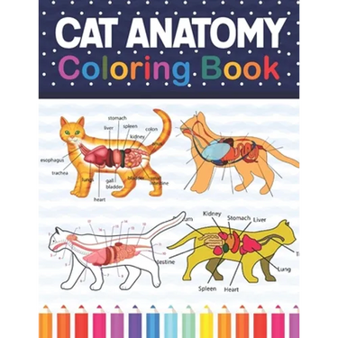 Cat Anatomy Coloring Book: Cat Anatomy Coloring Book for Kids & Adults. The New Surprising Magnificent Learning Structure For Veterinary Anatomy