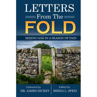 Letters from the Fold: Seeing God in a Season of Pain