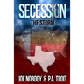 Secession: The Storm