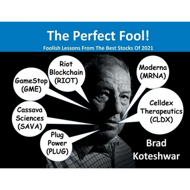 The Perfect Fool!: Foolish Lessons From The Best Stocks Of 2021