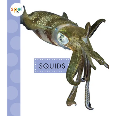 Squids