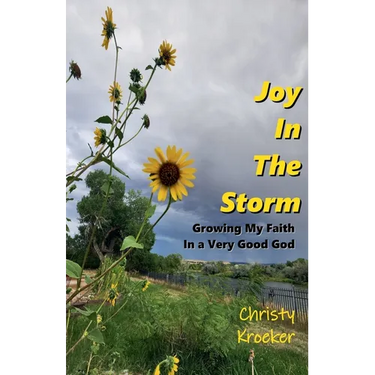 Joy In The Storm: Growing My Faith in a Very Good God