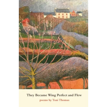 They Became Wing Perfect and Flew