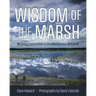 Wisdom of the Marsh: Modeling Restoration in the Montezuma Wetlands