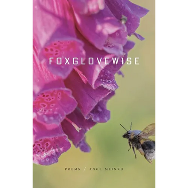 Foxglovewise