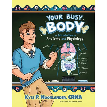 Your Busy Body: An Introduction to Anatomy and Physiology