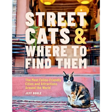 Street Cats & Where to Find Them: The Most Feline-Friendly Cities and Attractions Around the World