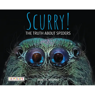 Scurry! the Truth about Spiders
