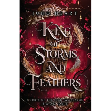 King of Storms and Feathers: A Dark Fae Fantasy Romance