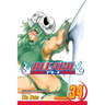 Bleach, Vol. 34: King of the Kill