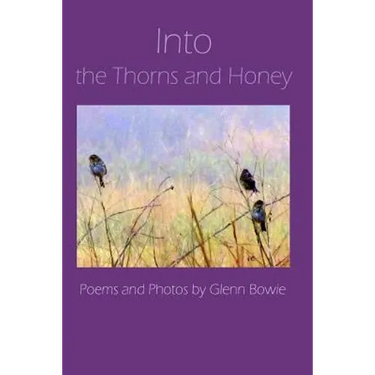 Into the Thorns and Honey