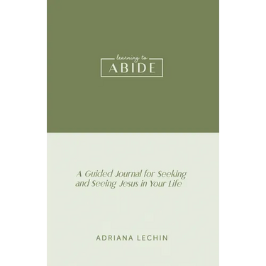 learning to ABIDE