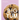 Big Yum: Supersized Cookies for Over-The-Top Cravings