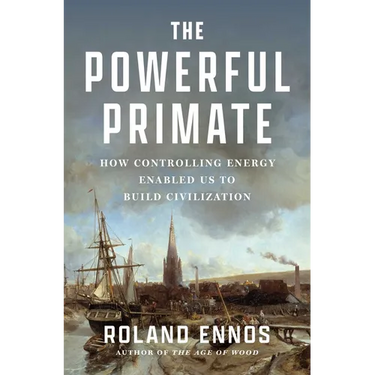 The Powerful Primate: How Controlling Energy Enabled Us to Build Civilization