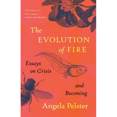 The Evolution of Fire: Essays on Crisis and Becoming