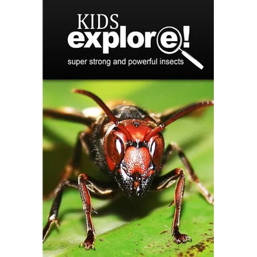 Super strong and powerful insects - Kids Explore: Animal books nonfiction - books ages 5-6