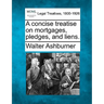 A concise treatise on mortgages, pledges, and liens.