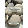Charlevoix Stones & Other Beachcomber Treasures of Northern Michigan