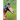The Continued Adventures of Thunder: The Wonder Horse