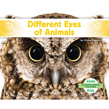 Different Eyes of Animals