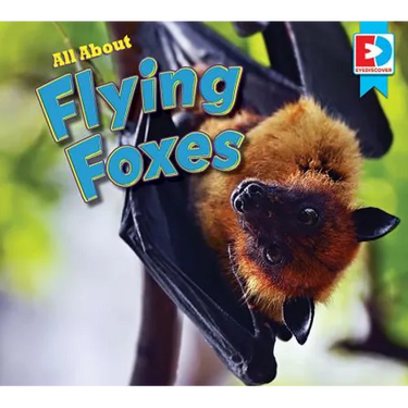 All about Flying Foxes