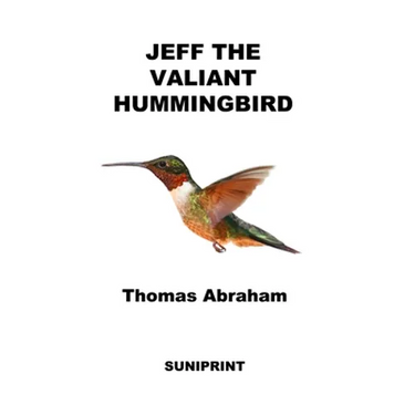 Jeff The Valiant Hummingbird