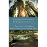 Meaningful Connections in My Long Journey Between a Pine Grove of Songki-Ri and the Bank of the Siuslaw River