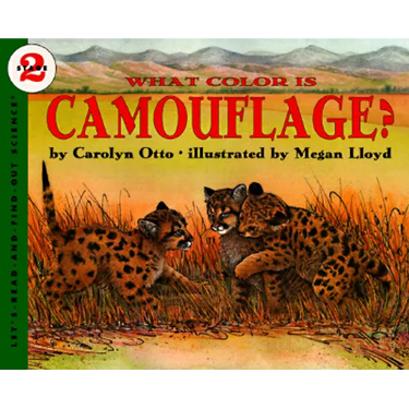 What Color Is Camouflage?
