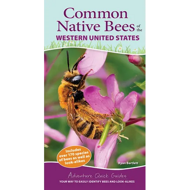 Common Native Bees of the Western United States: Your Way to Easily Identify Bees and Look-Alikes