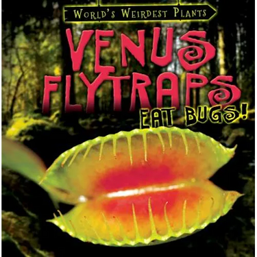 Venus Flytraps Eat Bugs!