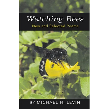 Watching Bees