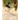 The Royal Past Time of Cock Fighting: Game Fowl Chickens Book 10